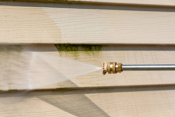 Best Local Pressure Washing Services  in Dundee, NY
