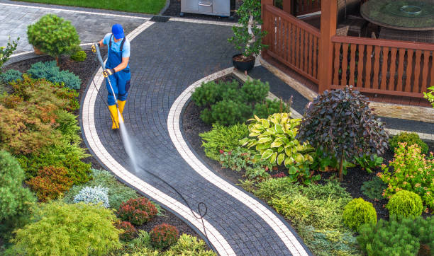 Best Deck Cleaning Services  in Dundee, NY