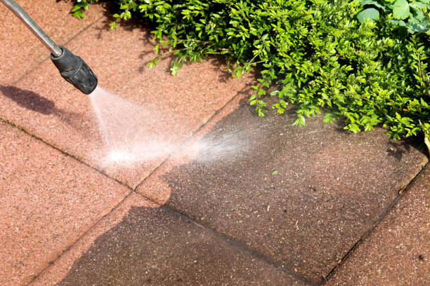 Why Choose Our Certified Pressure Washing Experts for Your Project Needs in Dundee, NY?